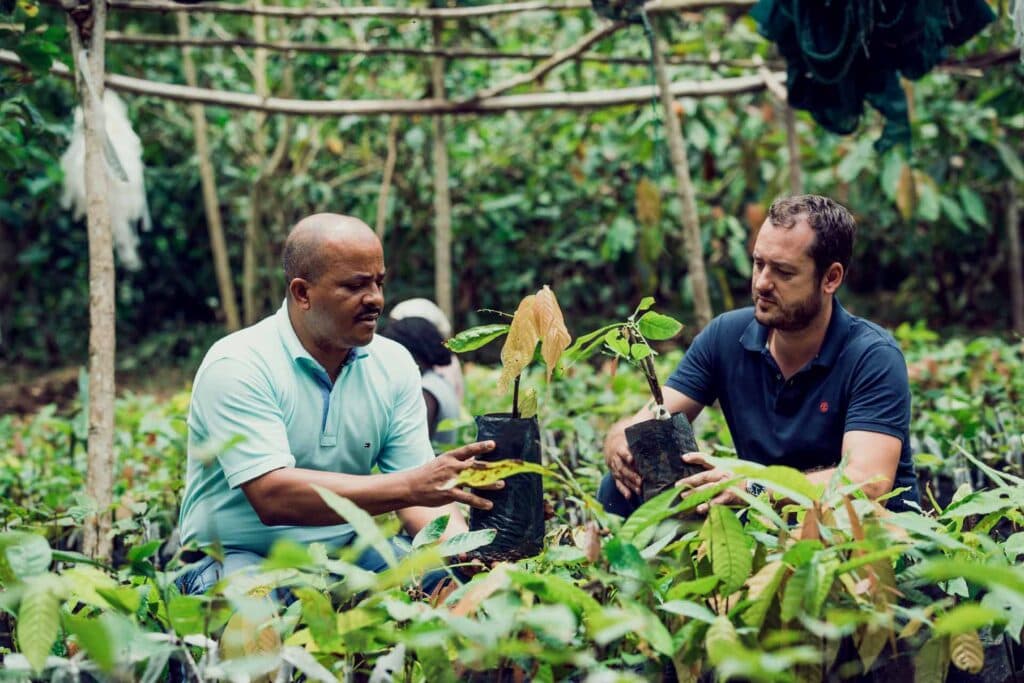 Des producteurs de cacao dans une plantation de São Tomé